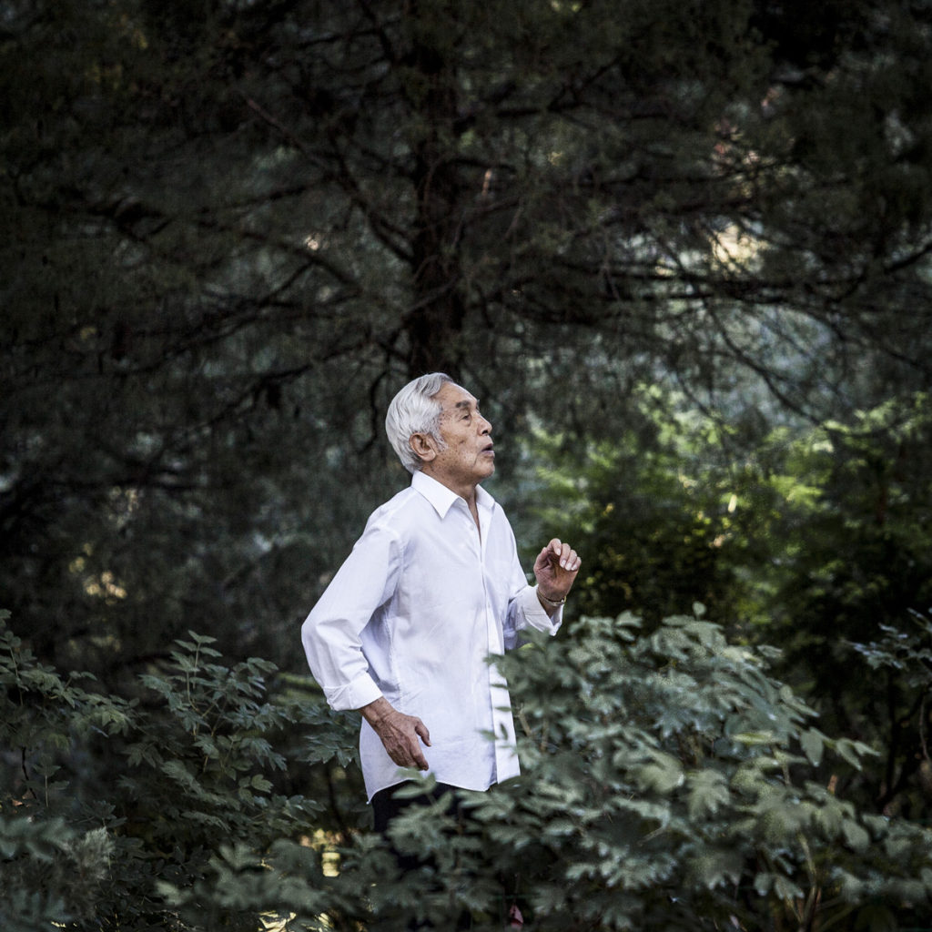 Les Pékinois - parmi les plus âgés - ont coutume d’aller le matin dans les nombreux parcs de la ville pour pratiquer le Tai-Chi, faire de la gymnastique, du cerf-volant, danser, se connecter aux arbres…ou plus simplement encore marcher, penser, respirer et oublier la pollution aux particules fines et le smog ambiant.
